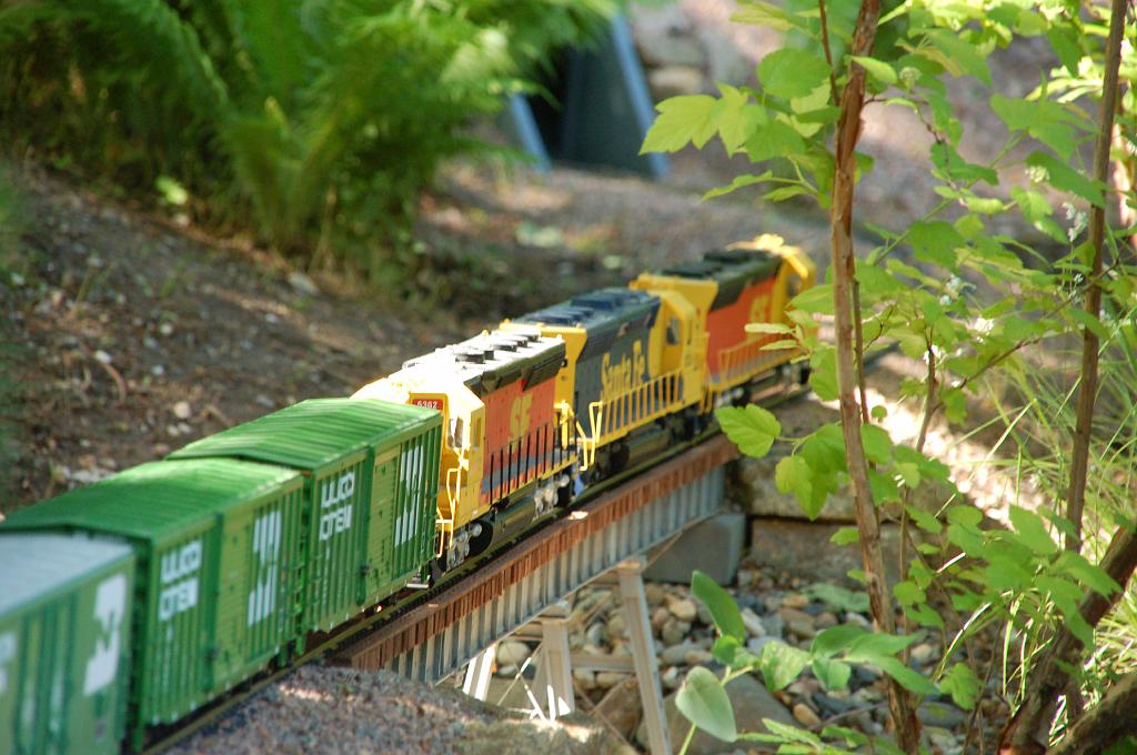 DSC_2455