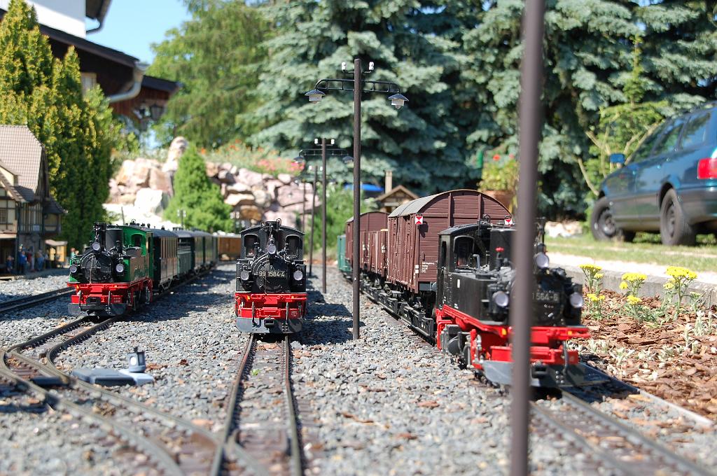 DSC_2526